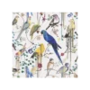 Papier Peint Birds Sinfonia Neige, Christian Lacroix -Deco En Ligne Soldes papier peint birds sinfonia neige christian lacroix