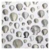 Papier Peint Captain Thomas Browns Shells Oyster, John Dorian -Deco En Ligne Soldes papier peint captain thomas browns shells oyster john dorian
