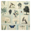 Papier Peint Flora And Fauna Cloud Blue, John Dorian -Deco En Ligne Soldes papier peint flora and fauna cloud blue john dorian