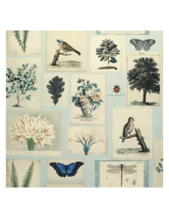 Papier Peint Flora And Fauna Cloud Blue, John Dorian