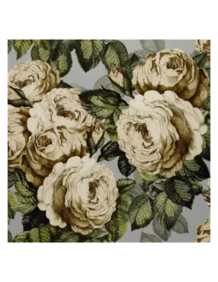 Papier Peint The Rose Steel, John Dorian