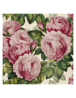 Papier Peint The Rose Tuberose, John Dorian