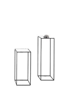 Sellette Toplicity, Un Autre Regard