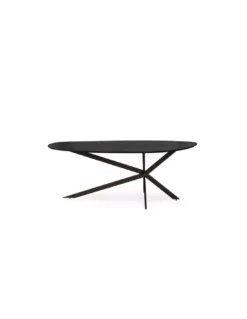 Table Ovale Nina Noir 200cm