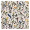 Tissu Birds Sinfonia Jonc, Christian Lacroix -Deco En Ligne Soldes tissu birds sinfonia jonc christian lacroix