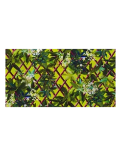 Tissu Canopy Lime, Christian Lacroix -Deco En Ligne Soldes tissu canopy lime christian lacroix 1